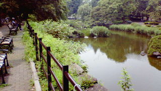 池を見ながら休める高台があります。