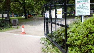 都心でのびのびと土や草木に触れて遊べます。