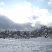 お城のあとは公園に。お約束ちっくだけど。