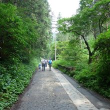 １号路の登山口入り口付近