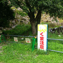 本当に出たこと有るのかな？