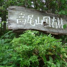 高尾山は国有林です
