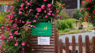 美味しいパン屋さん