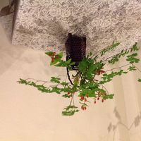 笑顔になれるアレンジメント