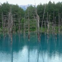 すぐ近くに「青い池」があります。