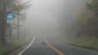 景色がいいです