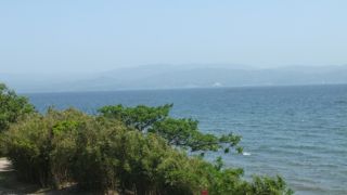 海のように広いです