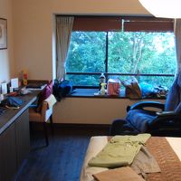 広くはないが自然を感じる部屋です