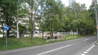 橋や白樺並木が美しい