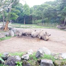 近すぎちゃってどうしよう！