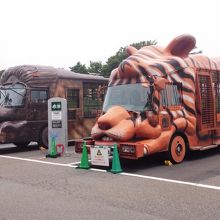 サファリバスに心躍る！