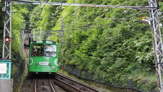 丹沢・大山フリーパスがお得です