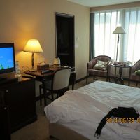 ベット、テレビ等は問題ない