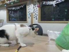 Hi Korea Guesthouse 写真