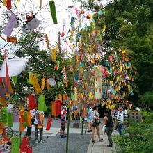 境内での七夕会
