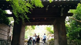 豊臣秀吉と北政所の寺院『高台寺』七夕会