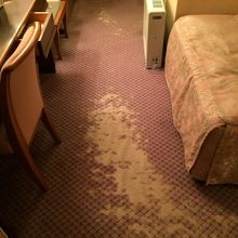 残念なカーペット