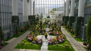 冬でもお花がいっぱい