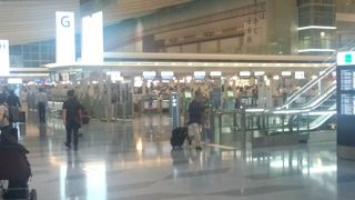 どんどん賑やかになってきてます