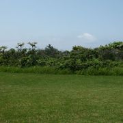 かもめ島全体が公園のよう