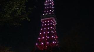 夜の東京タワー