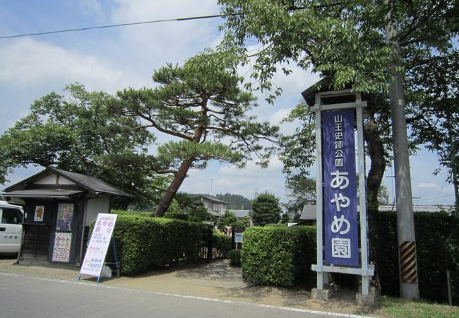 ハナショウブで勝負するあやめ園！