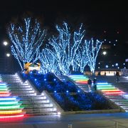 駅前のイルミネーションが綺麗です