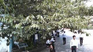 首都高の上にある憩いの公園