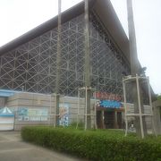 須磨水族園内に本格レストランあり