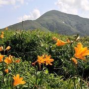 角館から行ける秋田県の山薬師岳、和賀岳