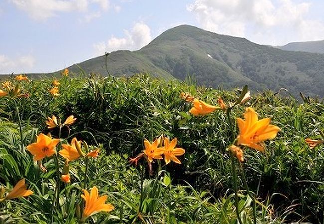 和賀岳(秋田県仙北市)