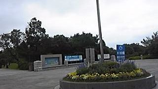 雨の日も、それなりに