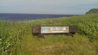 花いっぱいです