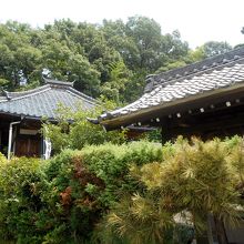 生垣越しの本堂（左）手水舎（右）。