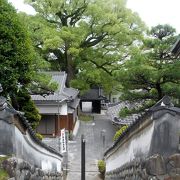 樹齢700年のクスノキが圧巻の知多市のお寺です