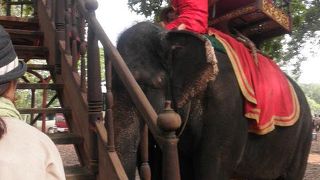 ツアーで行ったカンボジアで象乗り体験