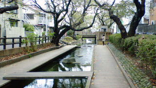 多摩川から分水する桜の名所でもある用水路