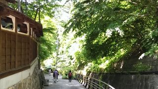 いい濁り湯です