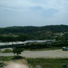 サファリパーク全景！