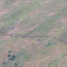 一列に連なって、移動