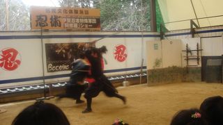 土日に行くべき