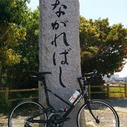 爽快な風を切る桂川サイクリングロード