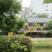 京都の初夏