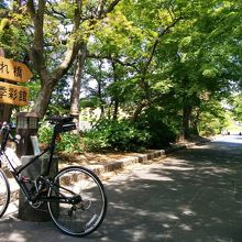 流れ橋近くの公園にて