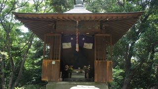 ちょっとした森のような一角