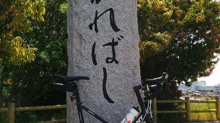 爽快な風を切る桂川サイクリングロード