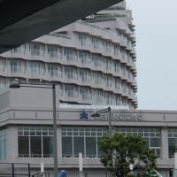 お台場にあるホテル日航
