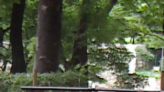 都会で緑を感じよう！