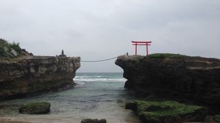 下田周辺観光におすすめ