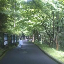 静かな時間が過ごせます